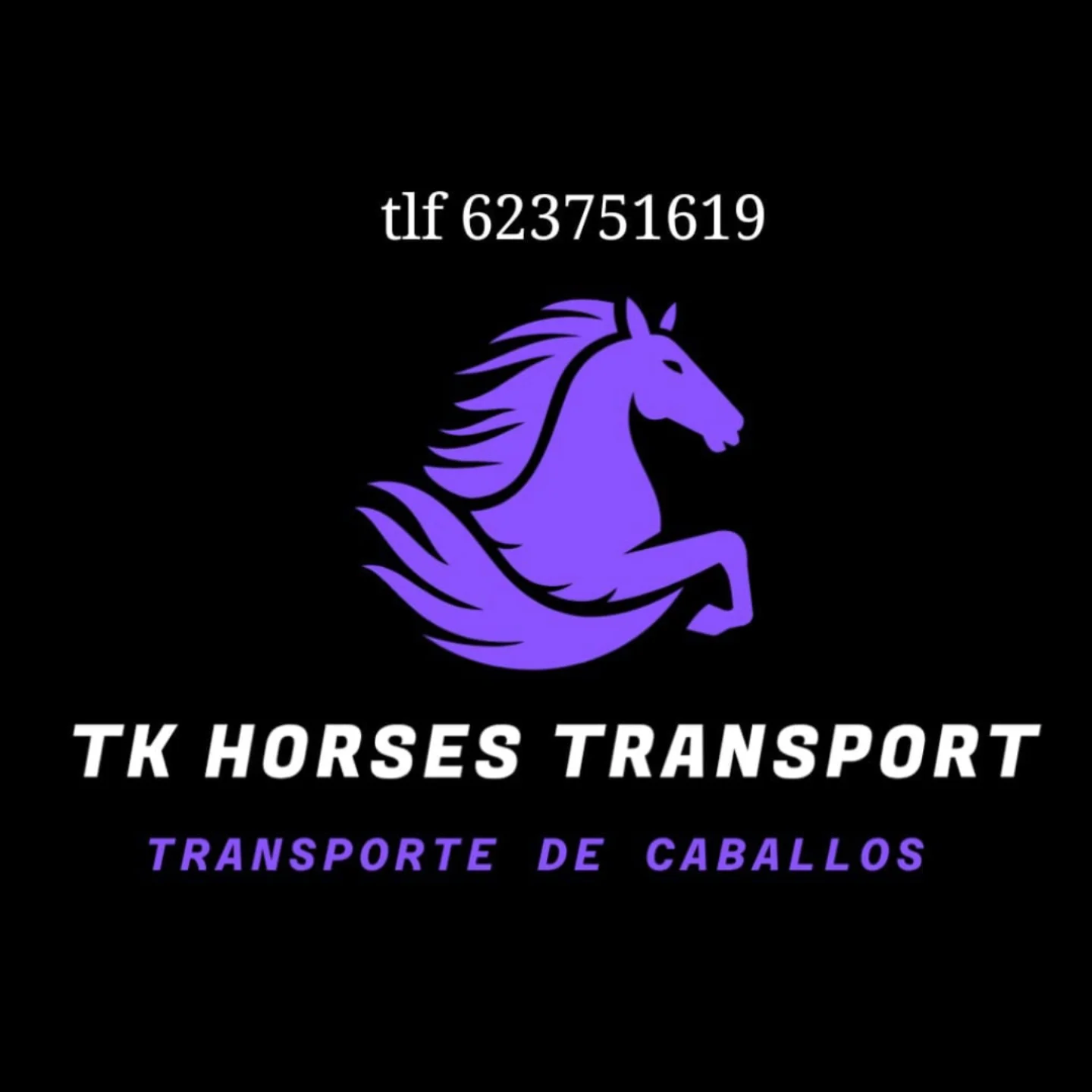 TK Horses Transport